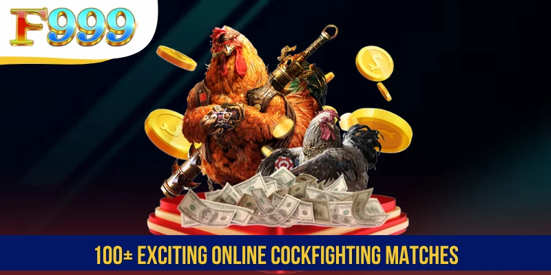 100+ exciting online cockfighting matches