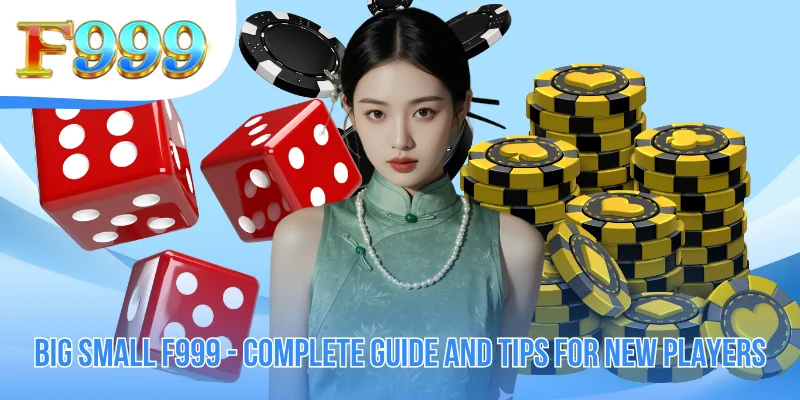 Big Small F999 - Complete Guide And Tips For New Players