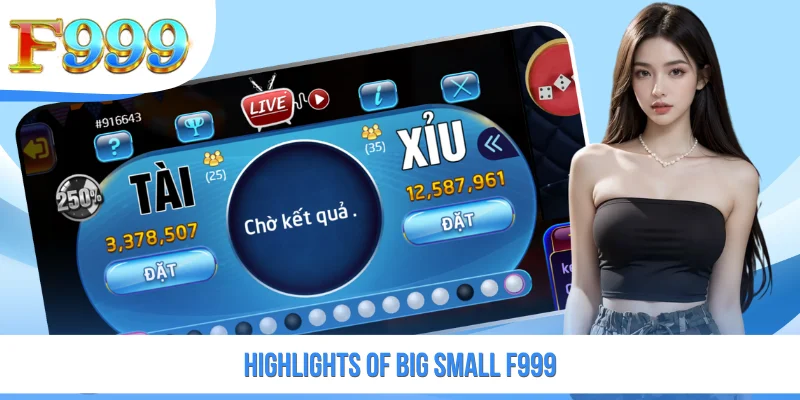 Highlights of Big Small F999