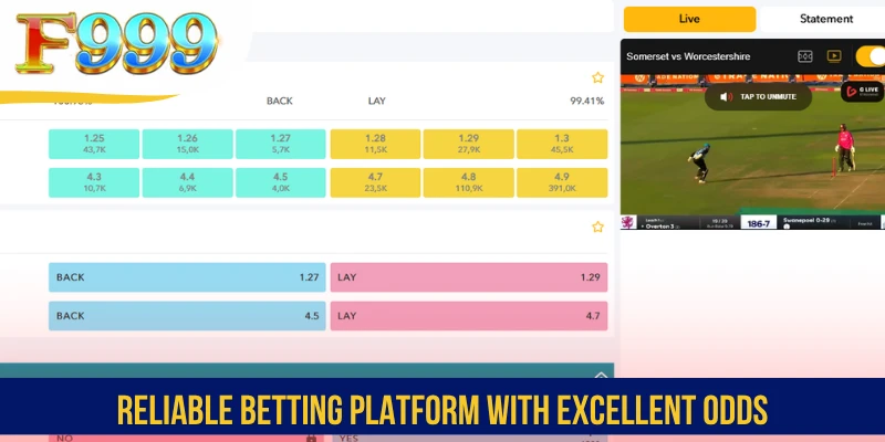 Reliable betting platform with excellent odds